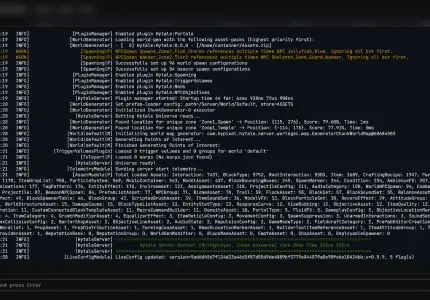Server Console